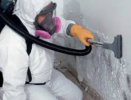 Best Commercial Mold Inspection in Mount Vernon, NY